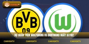 Nhận Định Bundesliga Wolfsburg Vs Borussia Dortmund 21h30 Ngày 07/02